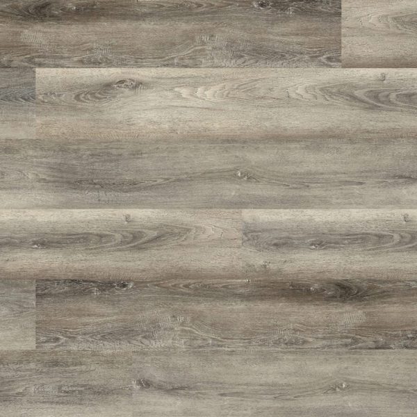 AS HD Blue Ridge DS402 1