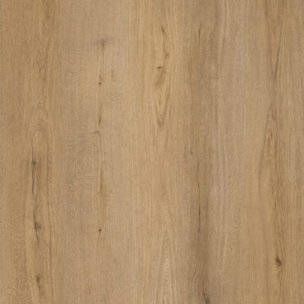 DS112 Captiva Island Swatch scaled 1