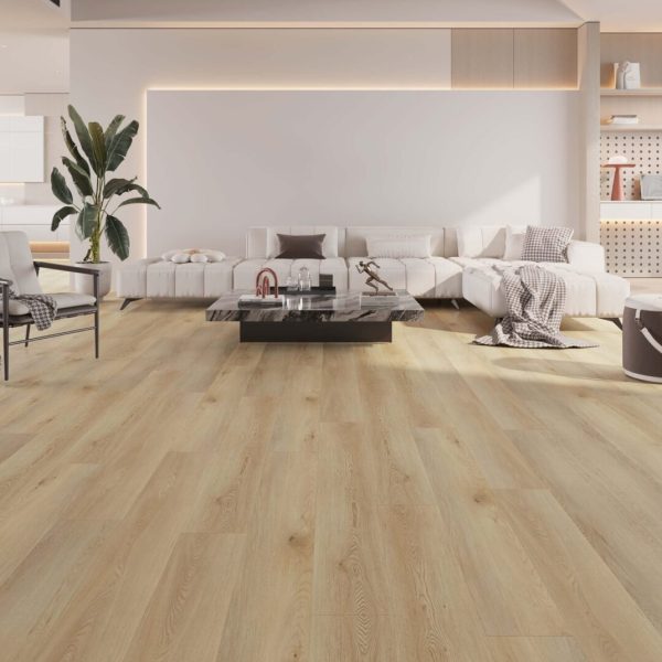 DS701 Hanaleigh scaled