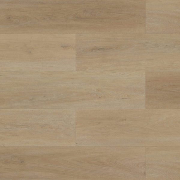 DS705 Cannon Beach Swatch scaled