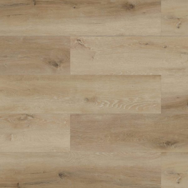 DS706 Trunk Bay Swatch scaled