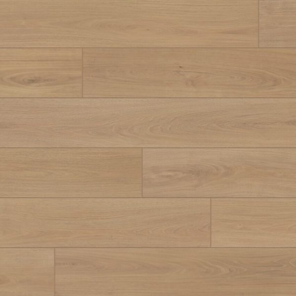 DS800 Hemingway Swatch