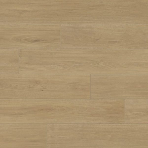 DS801 Flagler Swatch