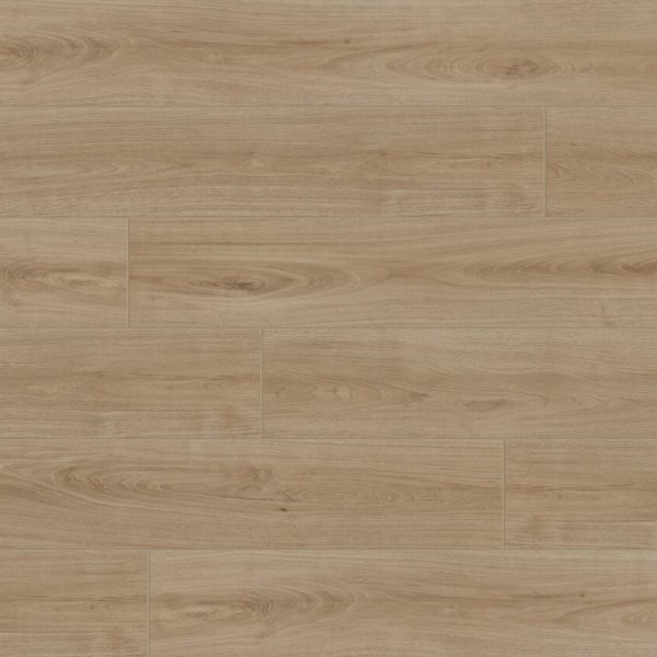 DS802 Ca d Zan Swatch