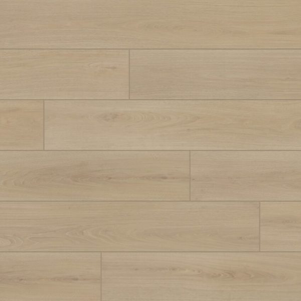 DS803 Stetson Swatch