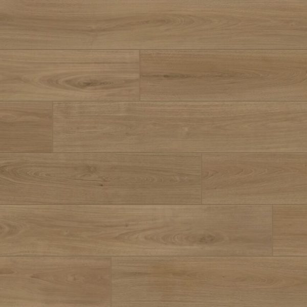 DS805 Biltmore Swatch