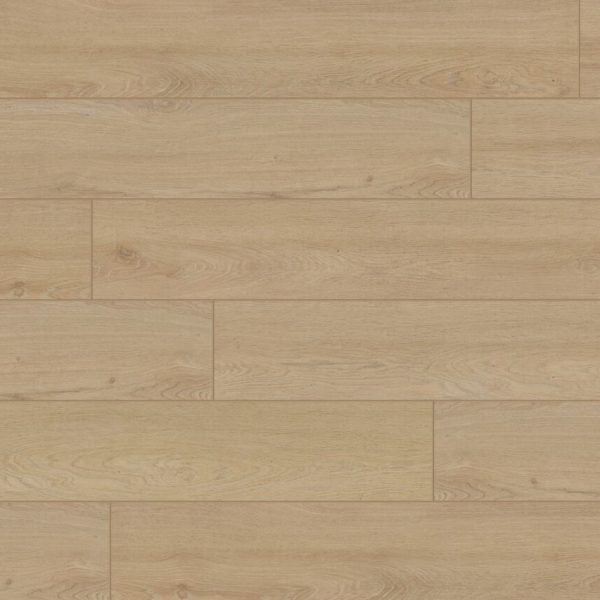 DS806 Breakers Swatch