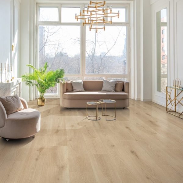 DS809 Vizcaya Room Scene