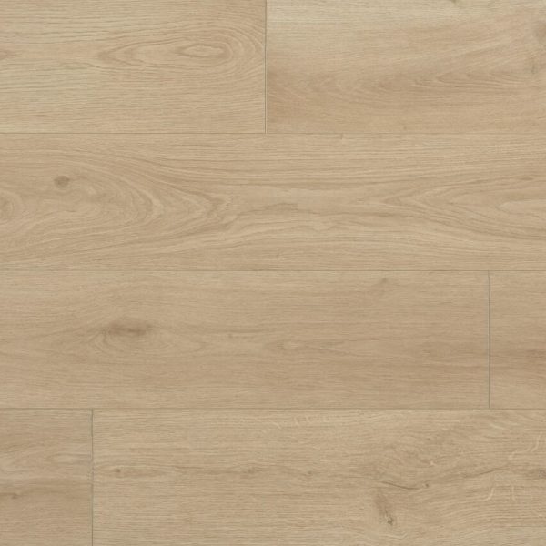 DS809 Vizcaya Swatch