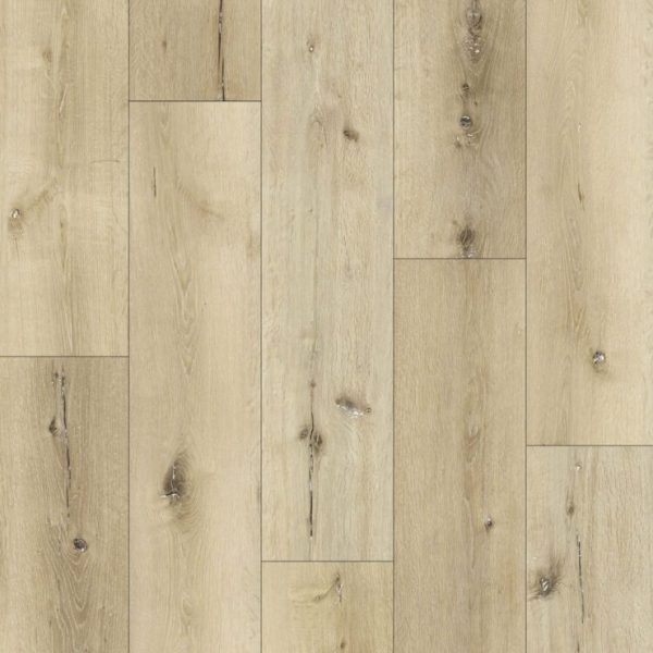 HR Ruth Swatch DS301