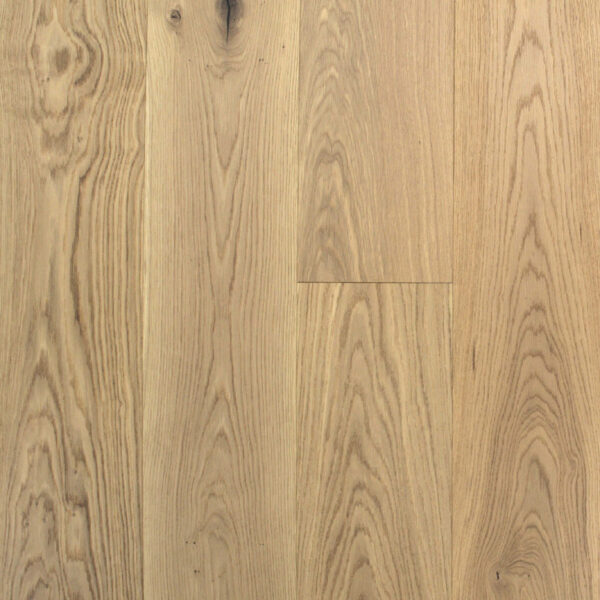 Atlas Naturaliste swatch 600x600